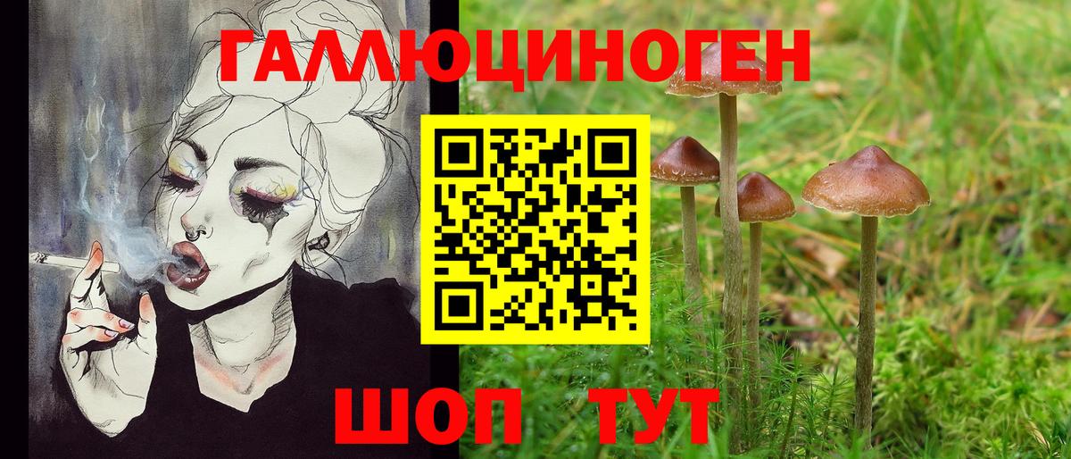Северобайкальск  Галлюциногенные грибы Magic Shrooms  Вход с VPN 