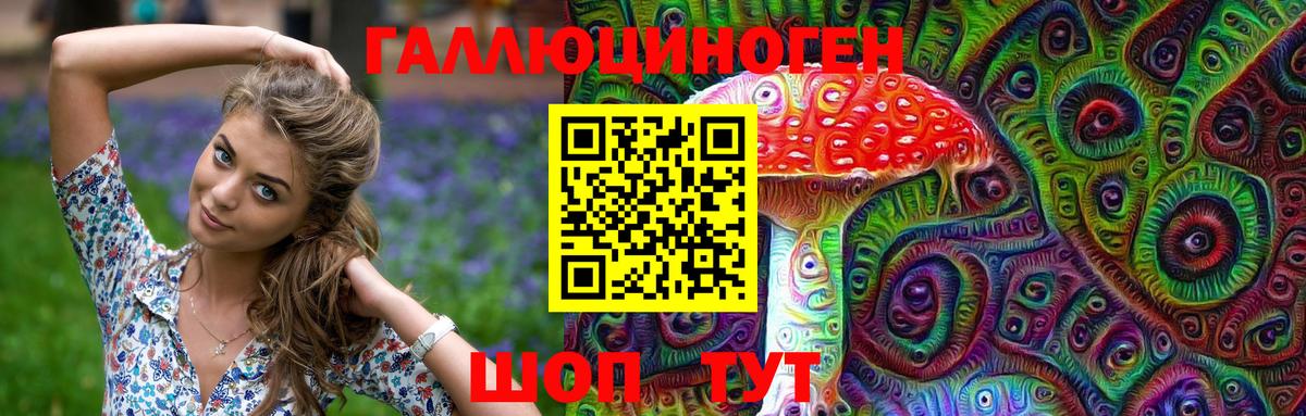 Галлюциногенные грибы Psilocybine cubensis Северобайкальск